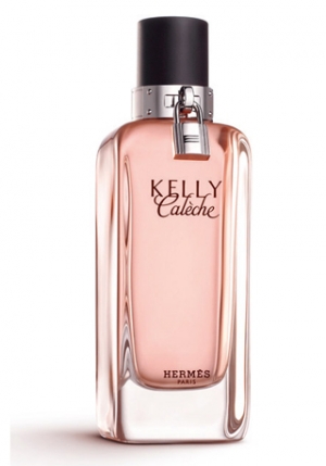kelly caleche by hermes